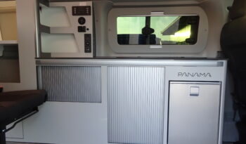 PANAMA P50+ pieno