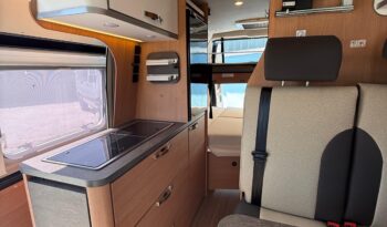 WEINSBERG Carabus 600 pieno