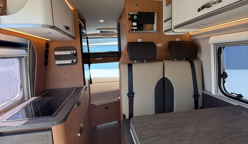 WEINSBERG Carabus 600 pieno