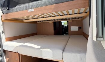 WEINSBERG Carabus 600 pieno