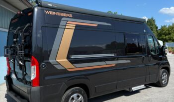 WEINSBERG Carabus 600 pieno
