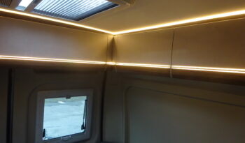 SUMMIT 600 SHINE pieno