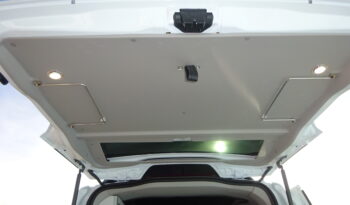 PANAMA P10+ Compact Edition pieno