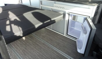 PANAMA P10+ Compact Edition pieno