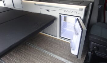 PANAMA P10+ pieno