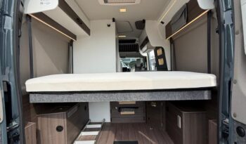 VANTOURER 600 D 2026 pieno