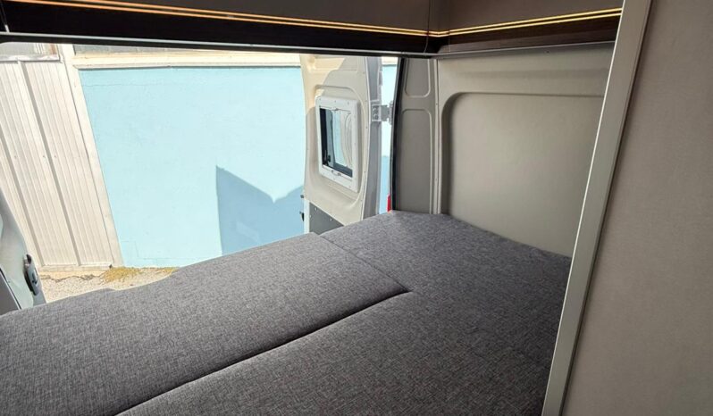 SUMMIT 540 SHINE pieno