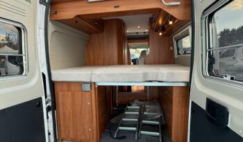 GLOBECAR GLOBESCOUT pieno