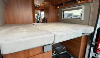 GLOBECAR GLOBESCOUT pieno