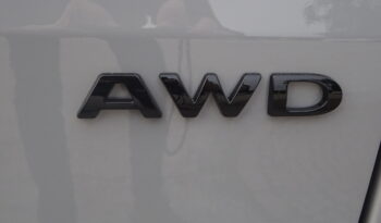 PANAMA P10+ 4×4 pieno